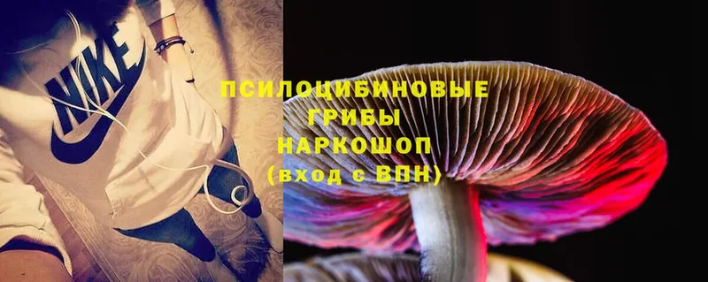 Галлюциногенные грибы Magic Shrooms  Алупка 